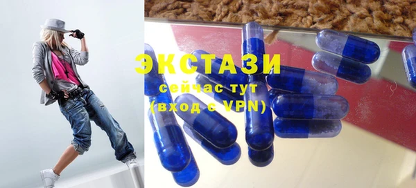 дживик Няндома