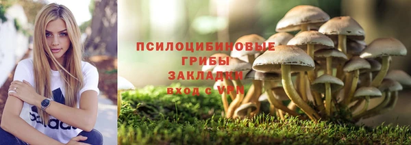 дживик Няндома