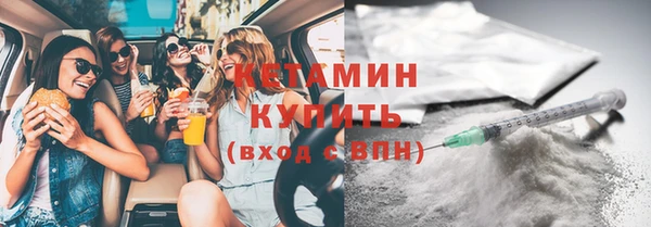 дживик Няндома
