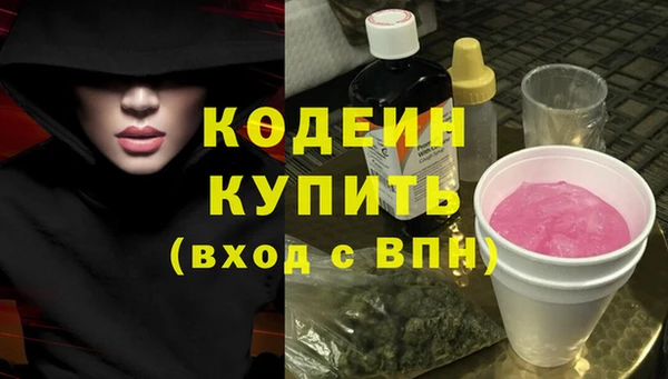 дживик Няндома