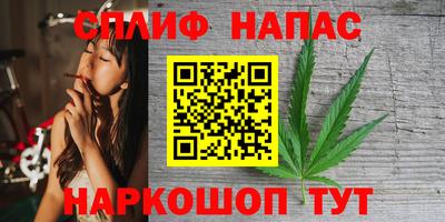 гашик Гагарин