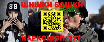 гашик Гагарин