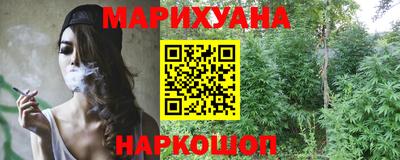 spice Гатчина