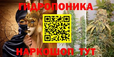 jwh Гай