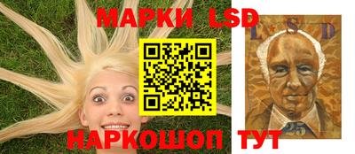 spice Гатчина