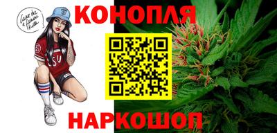гашик Гагарин