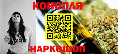 spice Гатчина